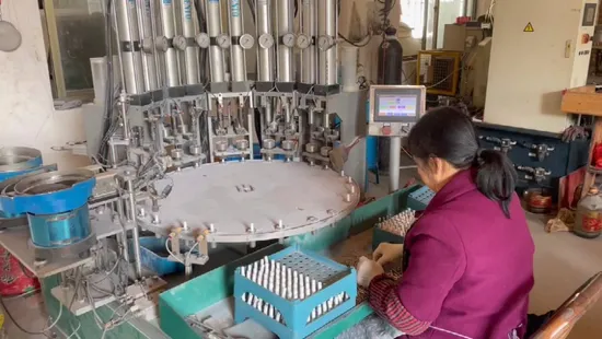 Wholesale OEM Car Spark Plugs Supplier 22401