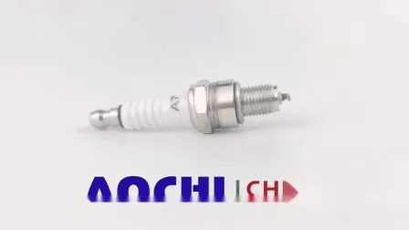 Cheap OEM&ODM Factory Motorcycle Spare Parts Spark Plug (D8TC) 